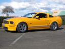 Shelby GT-C